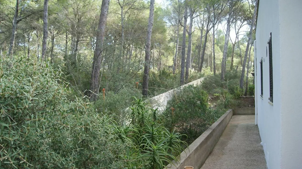 Villa Cala Gat Cala Ratjada   Cala Ratjada (Mallorca)
